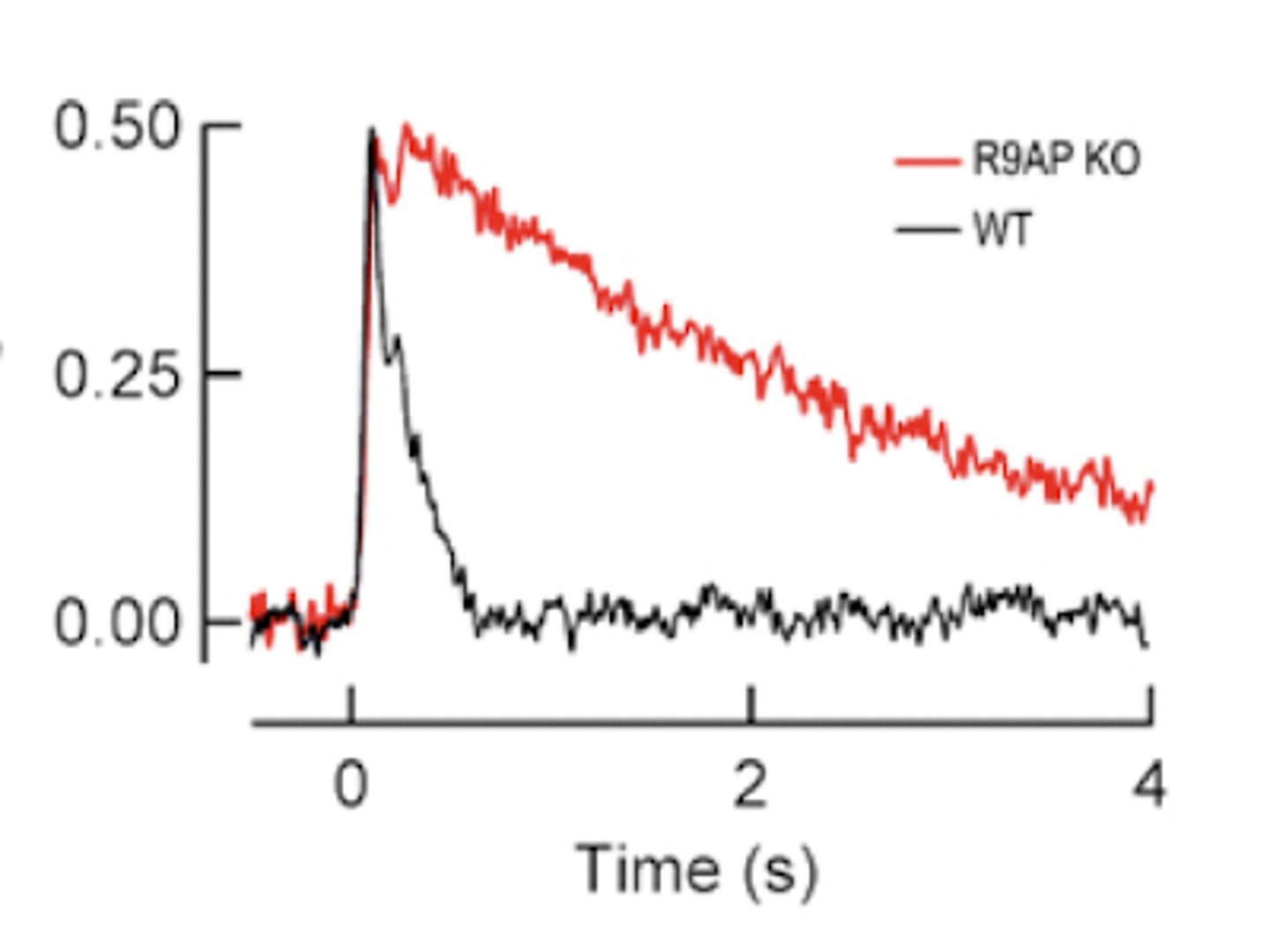 <p>slow photoresponse recovery</p>