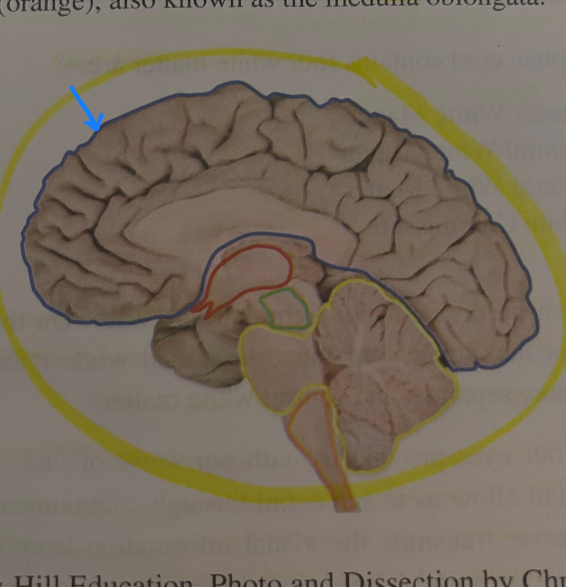 <p>What region is this?</p>