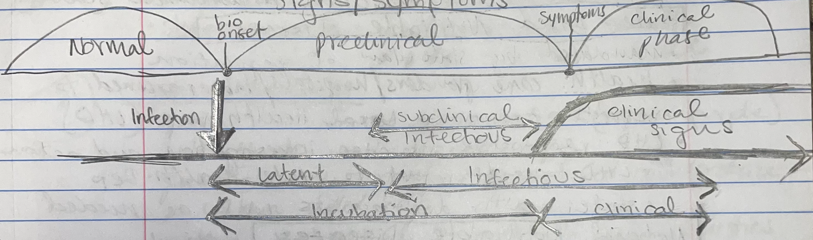 <p>infectious period, latent period, subclinical infectious period, preclinical phase</p>