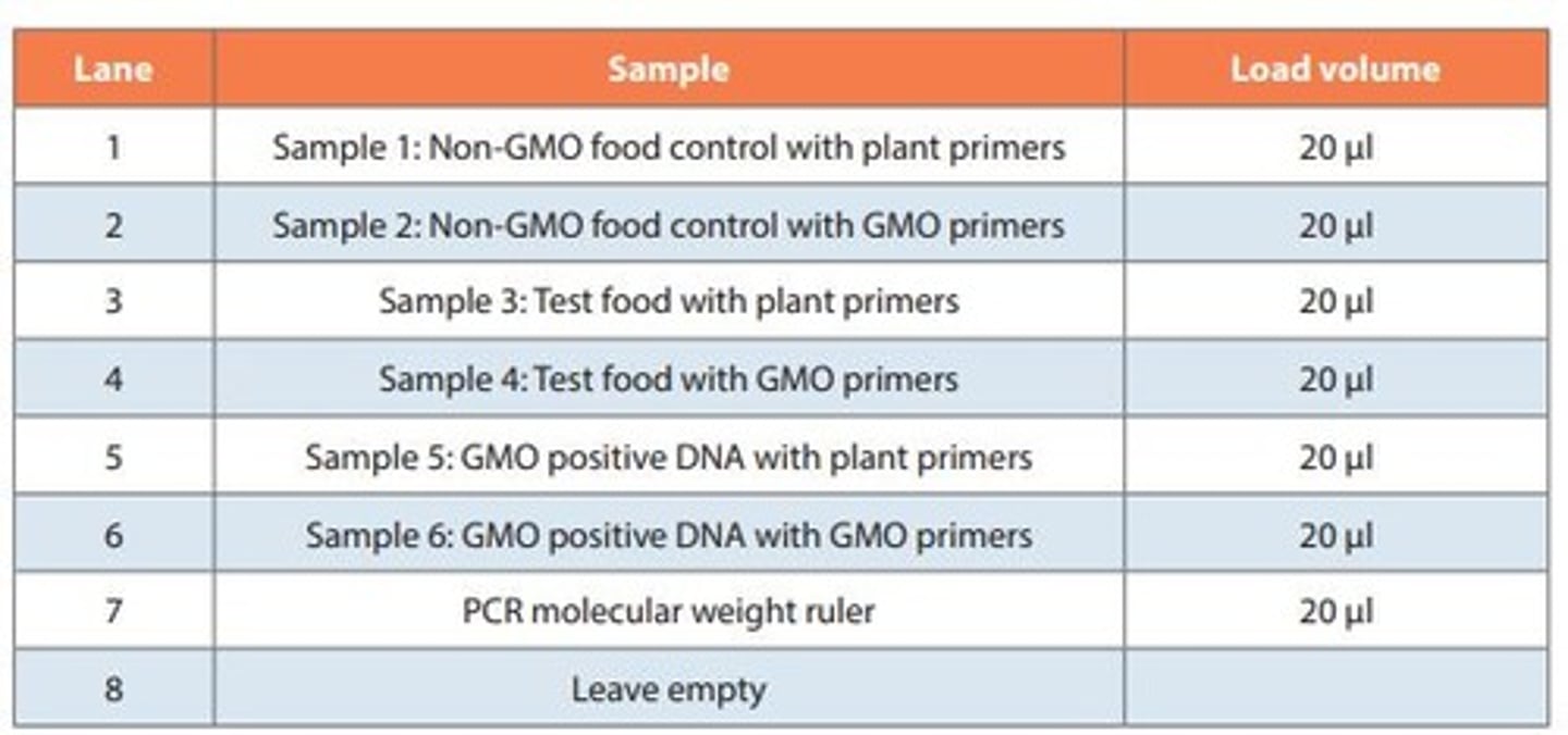 <p>Analyzing food to determine if it contains common GMO genes by using primers.</p>