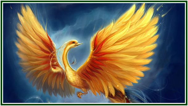 <p>Phoenix</p>