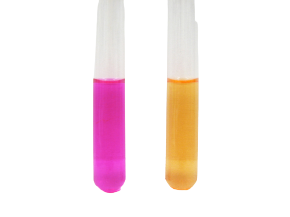 Urea reaction positive