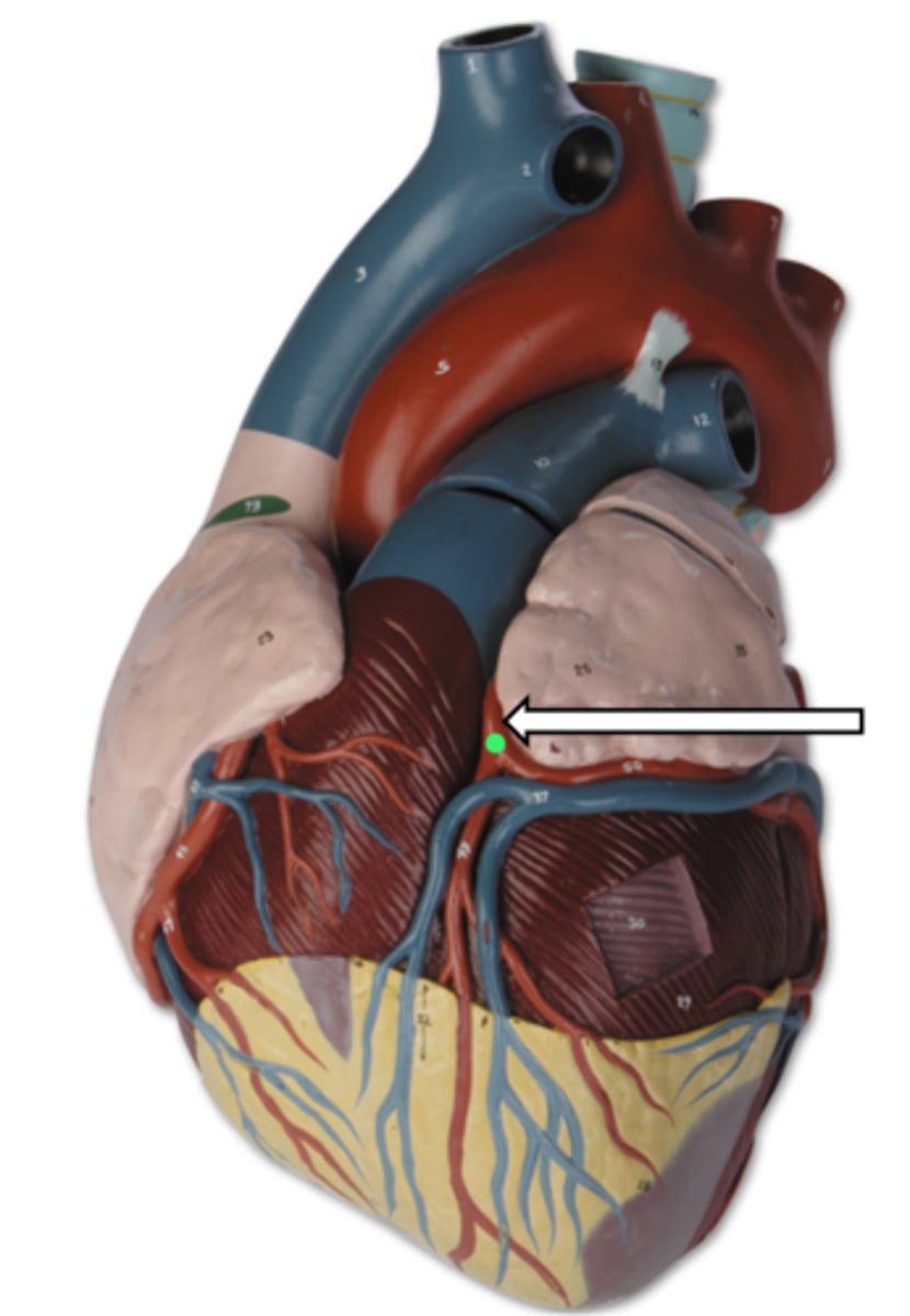 <p>name the structure</p>