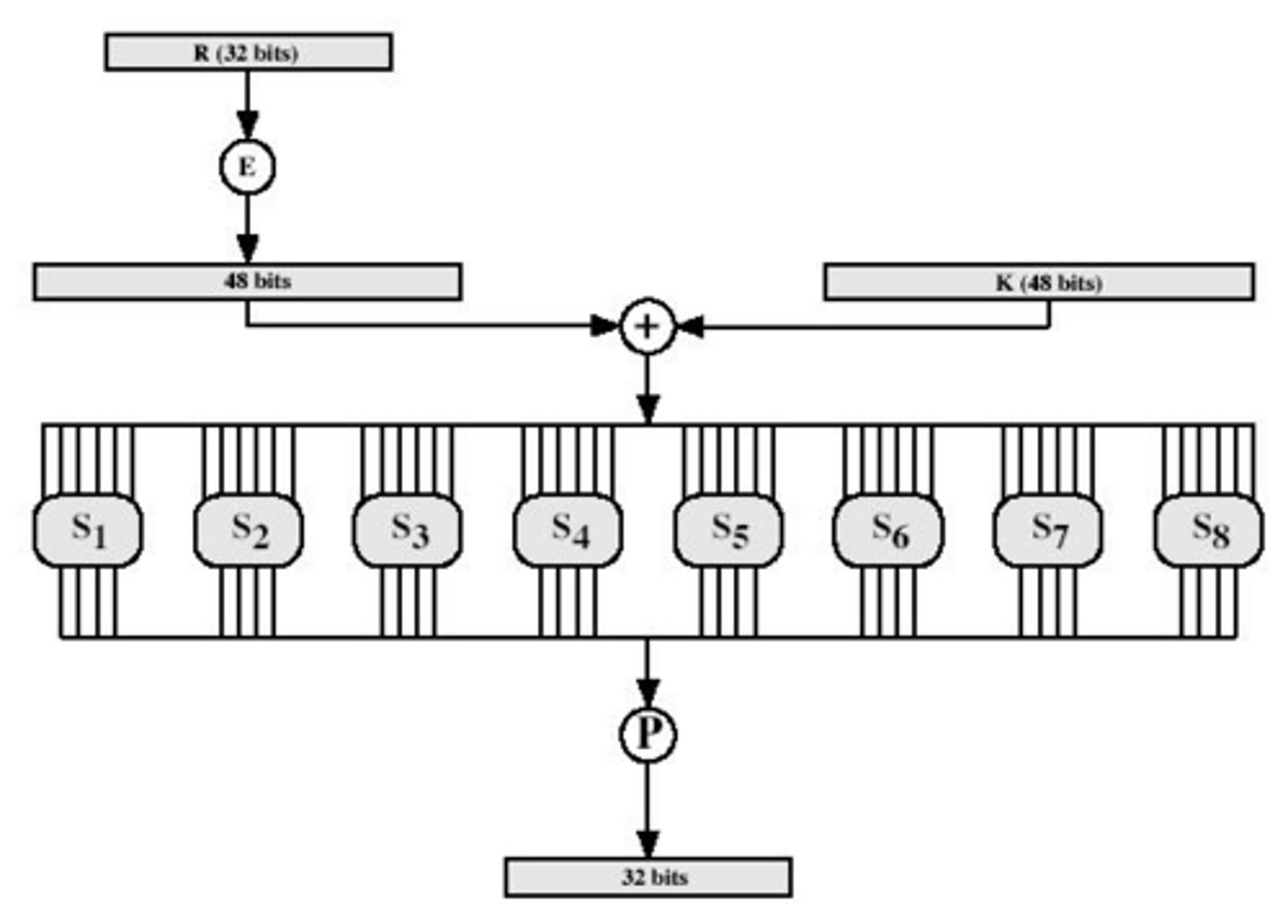 <p>The E-box expands the 32-bit input to 48 bits, changing the order of bits and repeating certain bits.</p>
