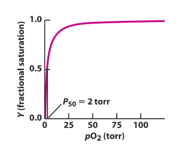 <p>hyperbolic, increases sharply at the beginning </p>