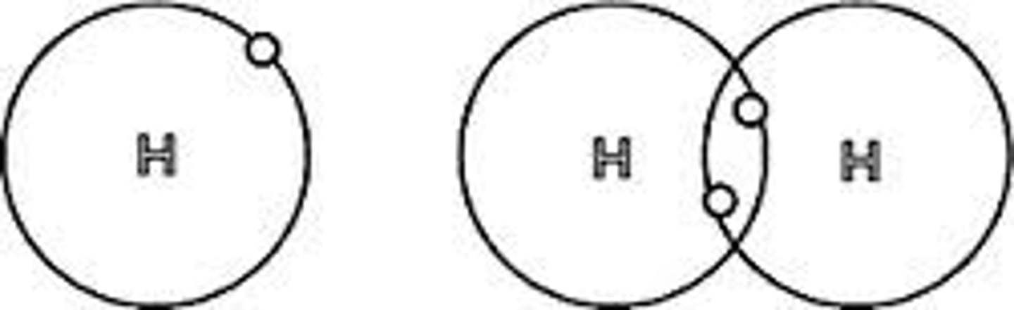 <p>1 pair of shared electrons between 2 atoms</p>