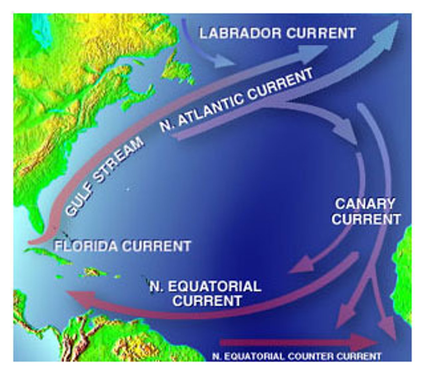 <p>Labrador Current which flows south along the coast of Northeast America</p>