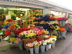 <p>flower shop</p>