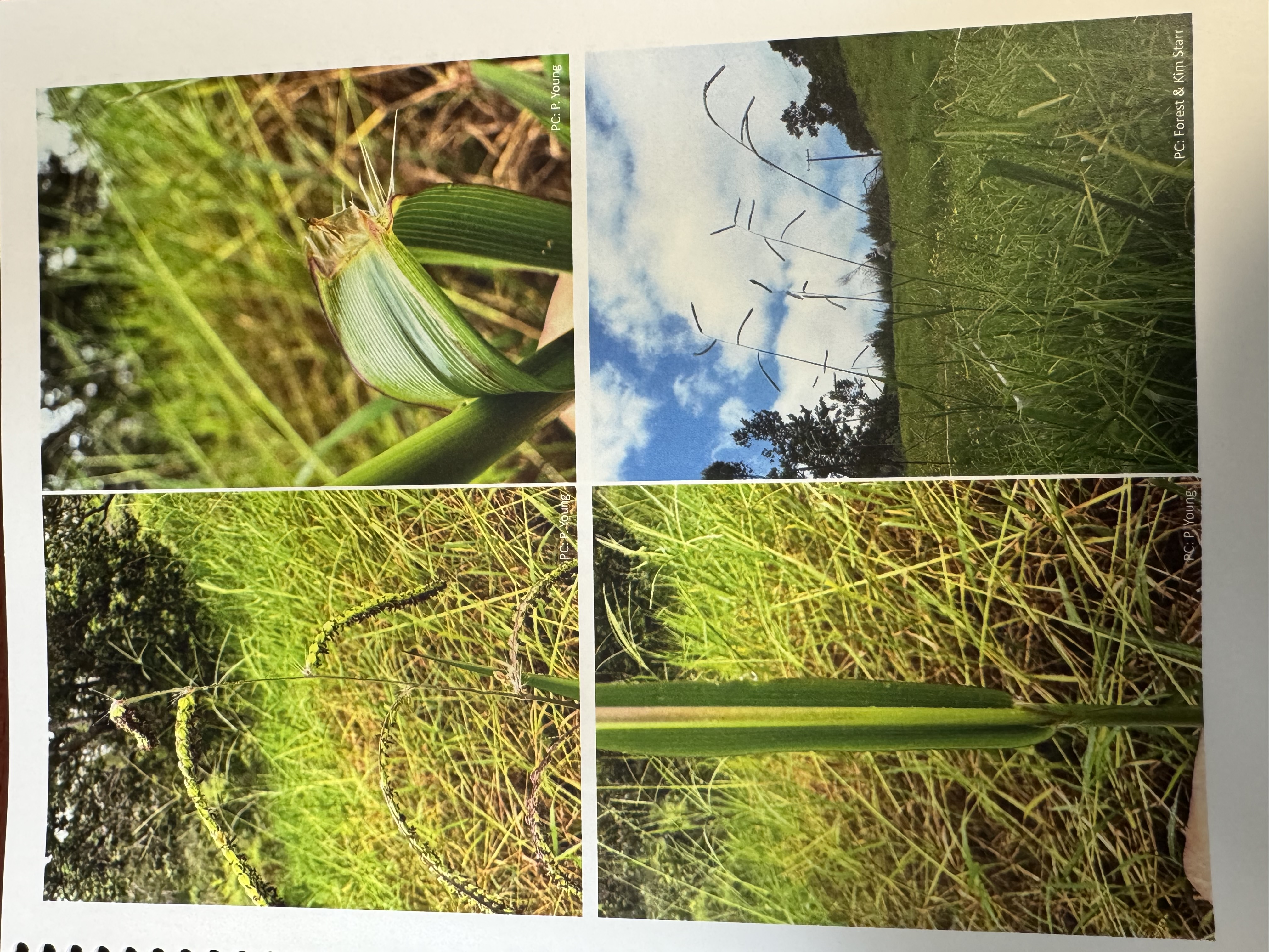 <img src="blob:null/2add0829-88cf-4d6e-b64e-cd3980c4aa7e"><p></p>