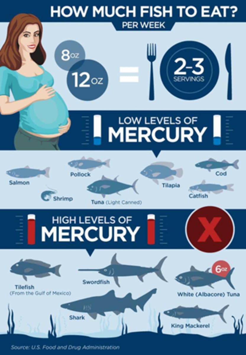 <p>a. Large predatory marine fish, freashwater fish</p>