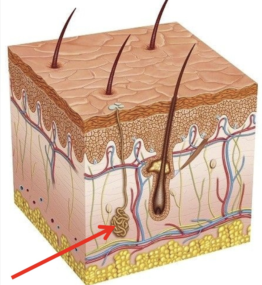 <p>What is this?</p>