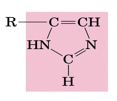 <p>What functional group is this?</p>