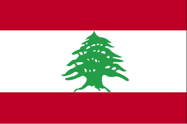<p>Cedar = directly inspired by <em>Cedrus libani</em>, the symbol of the country and has its origin in many biblical references.</p><p>White = the snow as a symbol of purity and peace.</p><p>Red = the blood shed to preserve the country.</p>