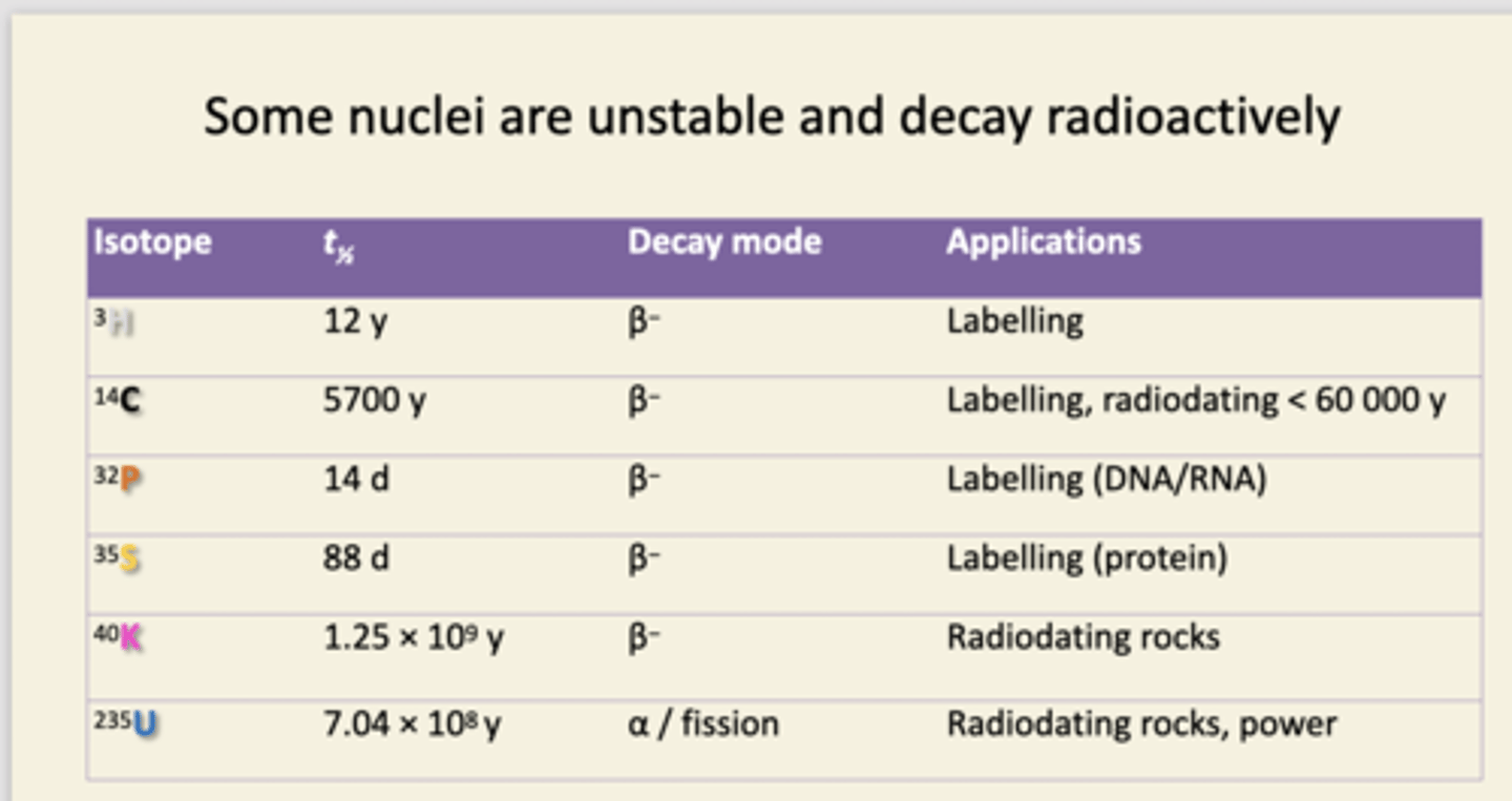 <p>The first 4 isotopes were used for radioactively labelling biochemicals. safer options now. Fluorescent tags track larger molecules as they move through cells. </p>