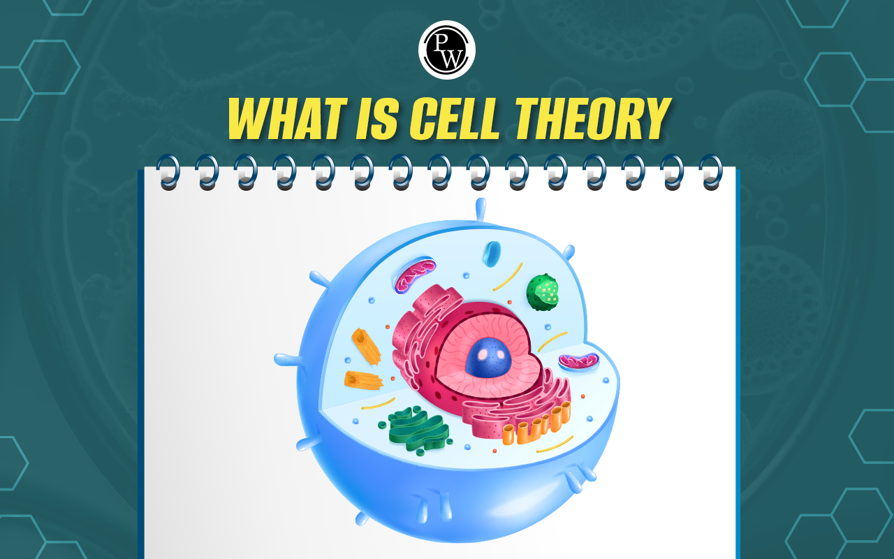 <p>What is the cell theory?</p>