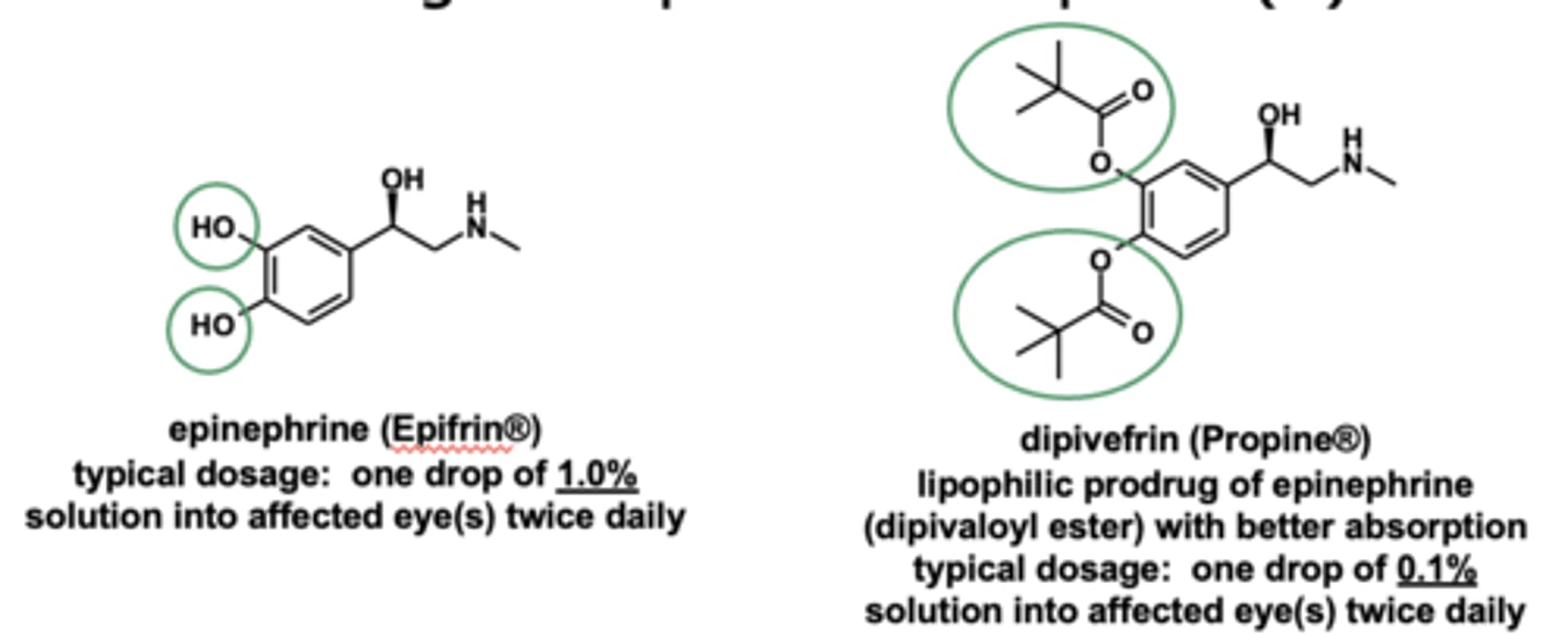 <p>- epinephrine: typical dosage is 1 drop of 1.0% twice daily</p><p>- <strong>dipivefrin: lipophilic prodrug of epinephrine, better absorption</strong>, typical dosage: 1 drop of 0.1% twice daily</p>