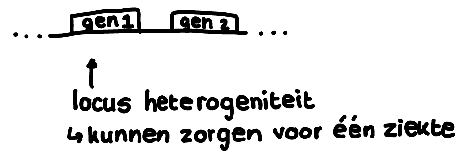 Mutaties in verschillende genen veroorzaken de aandoening

bv. hypertrofische cardiomyopathie