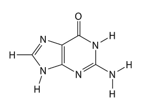 guanina
