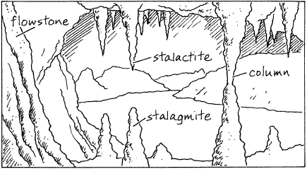 Collective term for the dripstone features found in caverns (Cave formations)