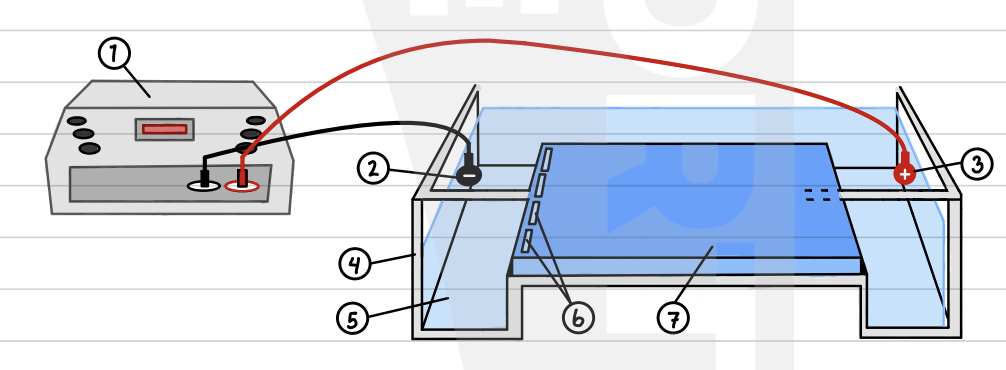 <p>label the setup and what is it called?</p>