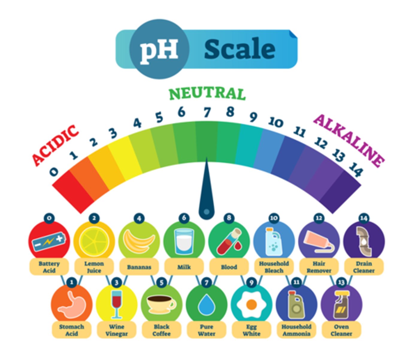 <p>What is neutral on the pH scale?</p>