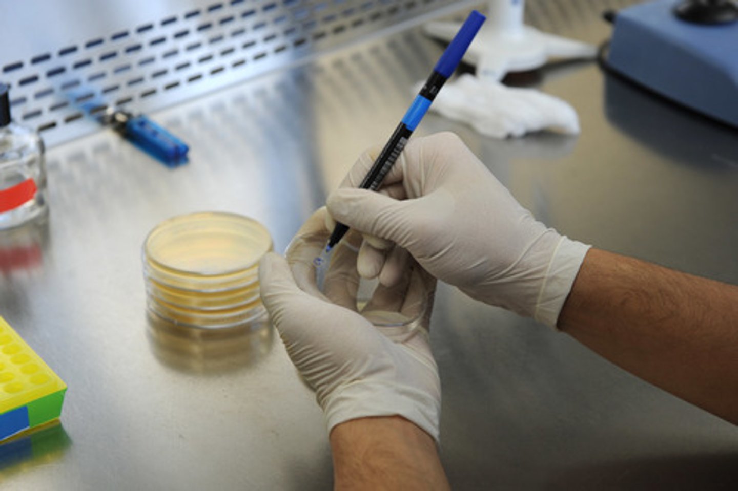 <p>Clinical professionalism in terms of test use/ administration</p>