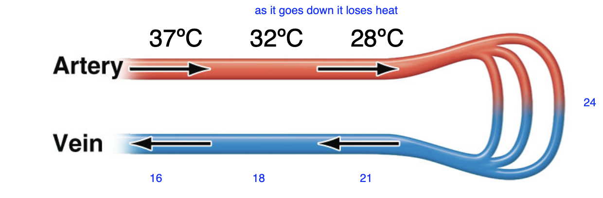 <p>explain this in terms of energy conservation </p>