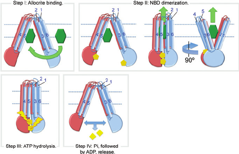 knowt flashcard image