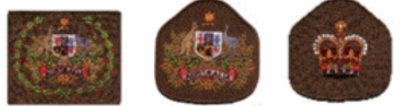 <p>Name these Army Ranks</p>