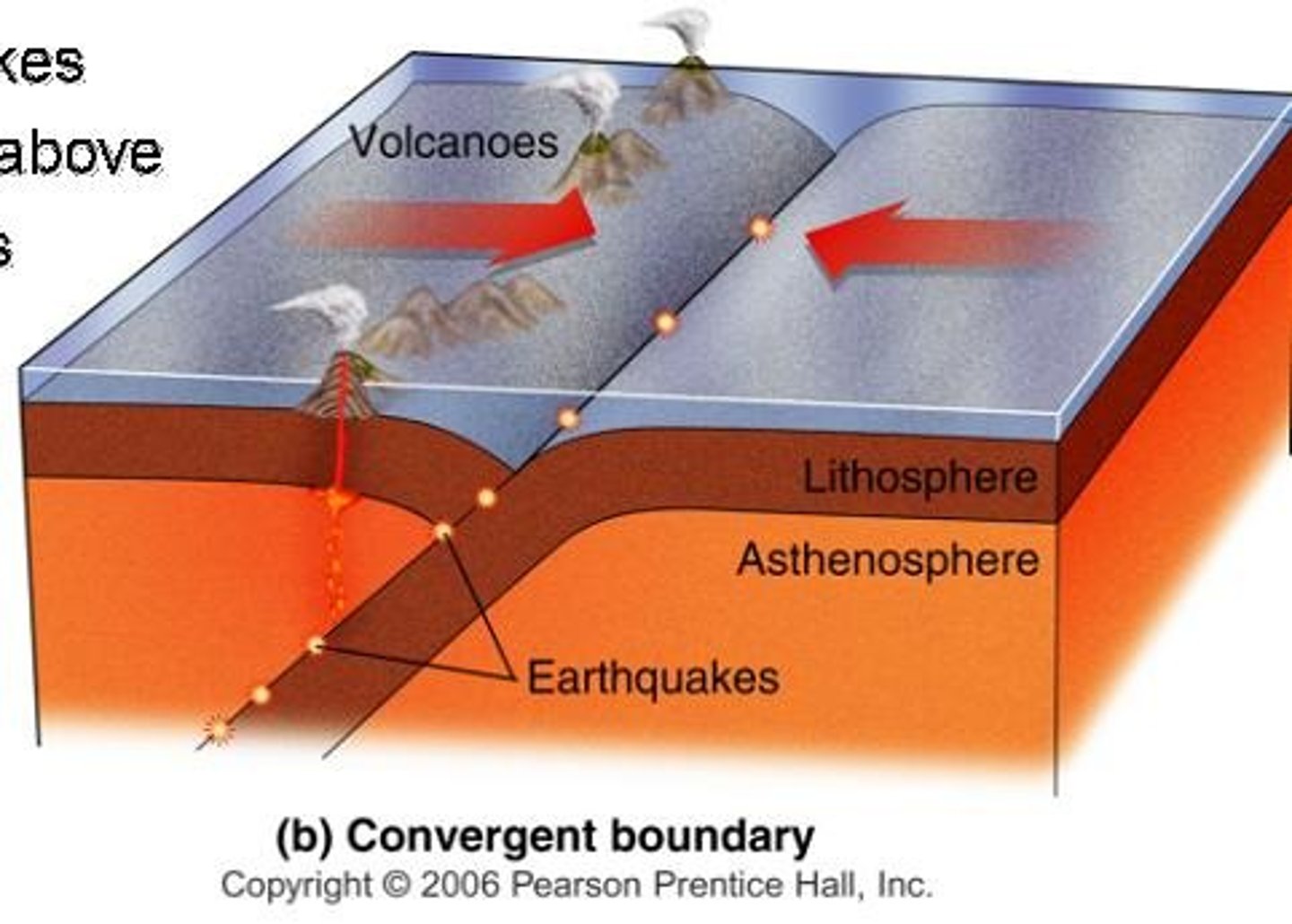 <p>A plate boundary where two plates collide, causing subduction or mountain building.</p>