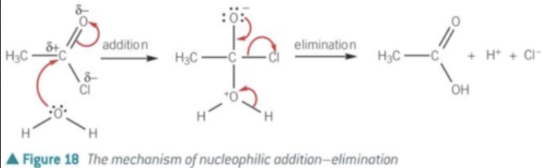 <p>1 H20 nucleophile, C-O covalent bond forms, C=O pi bond breaks, both e- go to oxygen = negative charge</p>