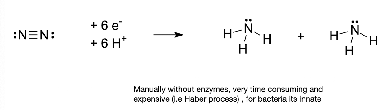 <p><strong>The reduction of N2 to NH3</strong></p>