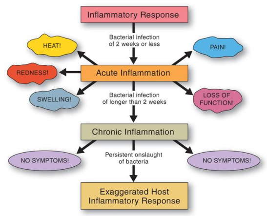 <ol><li><p>occurs when acute inflammatory response was not effective in eliminated the invading MO. </p></li><li><p>Immune response is defective or aggravated </p></li></ol><p></p>