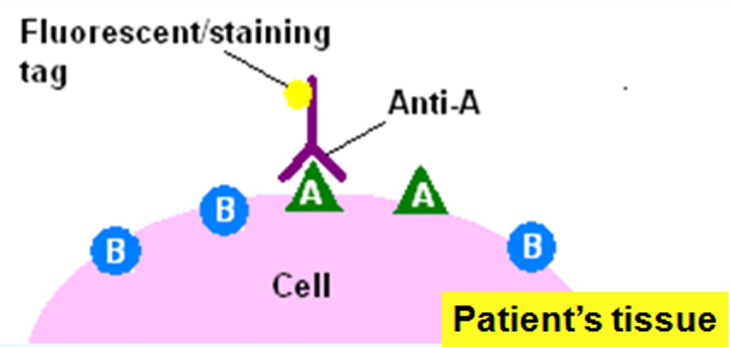 <p>a. challenge, threat</p>