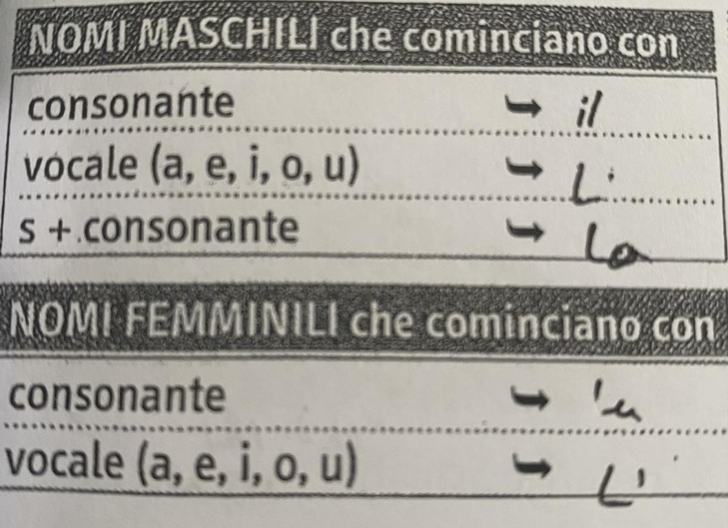 <p>Masculin (maschile)<br></p><p><strong>Il </strong>(quand le mot commence par consonne : ex - il ragazzo, il banco, il computer)</p><p><strong>L' </strong>(si le mot commence par une voyelle) : ex : l'amico</p><p><strong>Lo</strong> (si le mot commence par s + consonne --&gt; <strong>concerne que le masculin</strong> - ex : lo studente)</p><p><br>Feminin (feminile)</p><p><br><strong>La </strong>(quand le mot commence par consonne : ex - la ragazza)</p><p><strong>L'</strong> (si le mot commence par une voyelle) : l' amica</p><p><br>On observe seulement une différence d’article lorsqu’il y a un mot formé par s+ consonne quand il est masculin</p><p></p><p><strong>Exemples :</strong></p><p>La fabbrica</p><p>L’ospedale</p><p>Il ristorante&nbsp;</p><p>L’ufficio&nbsp;</p><p>La scuola</p><p>L’insegnante</p>