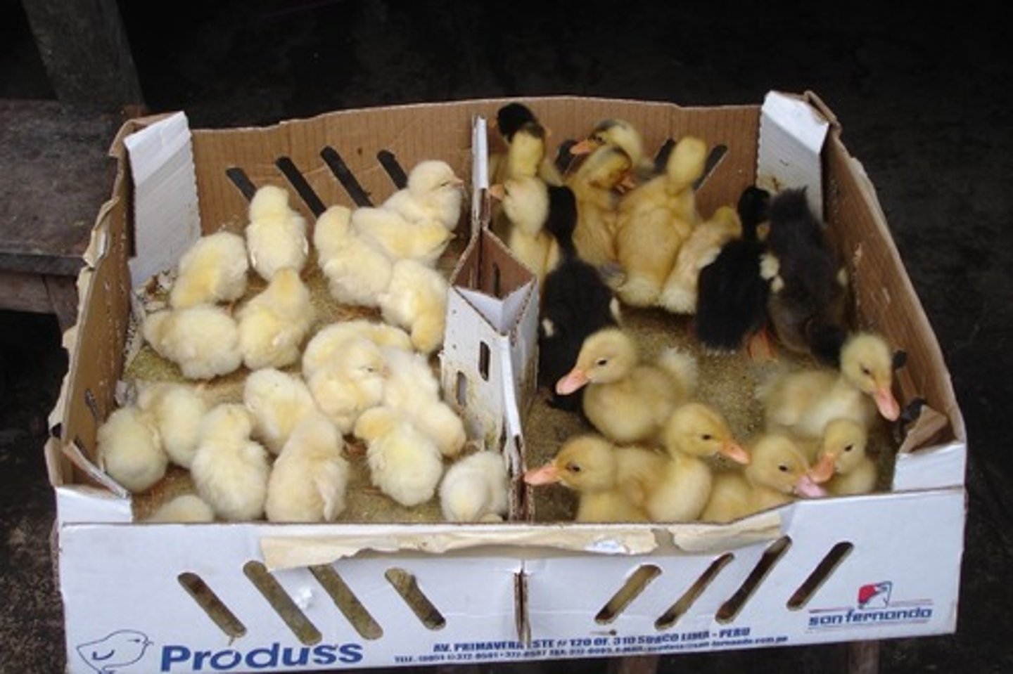 <p>(n. [U]) 隔離；分開</p>