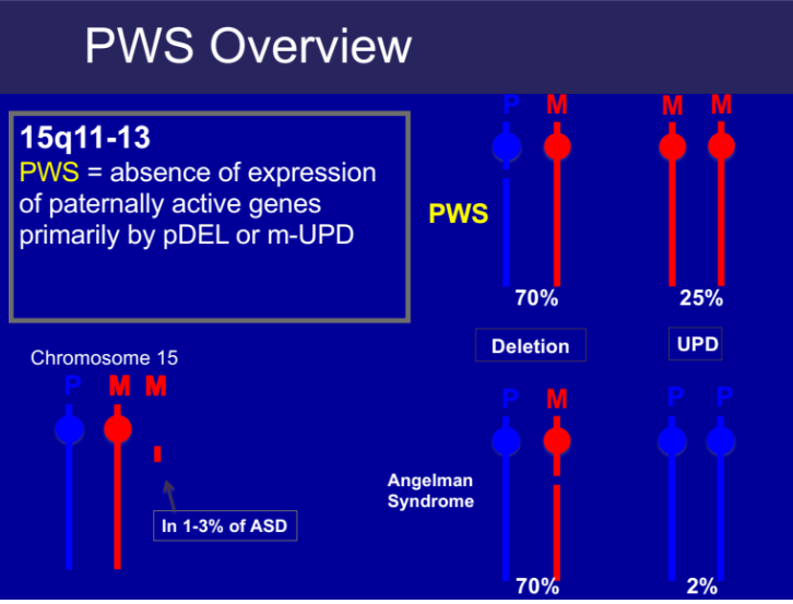 <p>A genetic disorder causing insatiable hunger and obesity. Caused by a deletion on paternally derived chromosome 15. 25-30% of cases present with maternal uniparental disomy (UPD)</p>