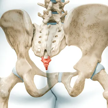 <p>What bone is this?</p>