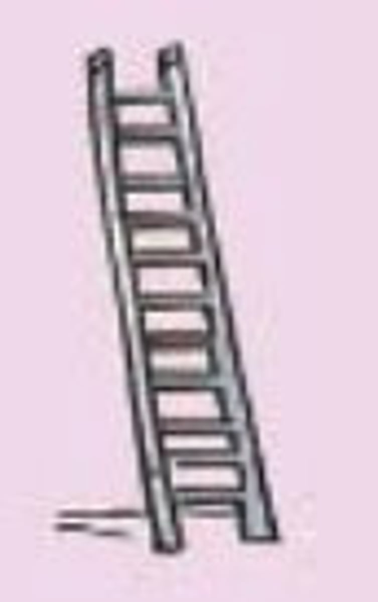 <p>ladder</p>