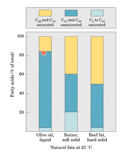 <p>¿Cual es más beneficioso para la salud?</p><p>¿Como lo ordenarías de más saludable a menos saludable?</p>