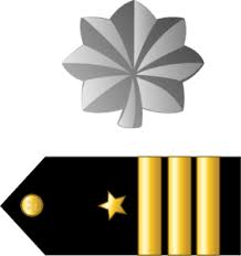 <p>one silver oak leaf</p>