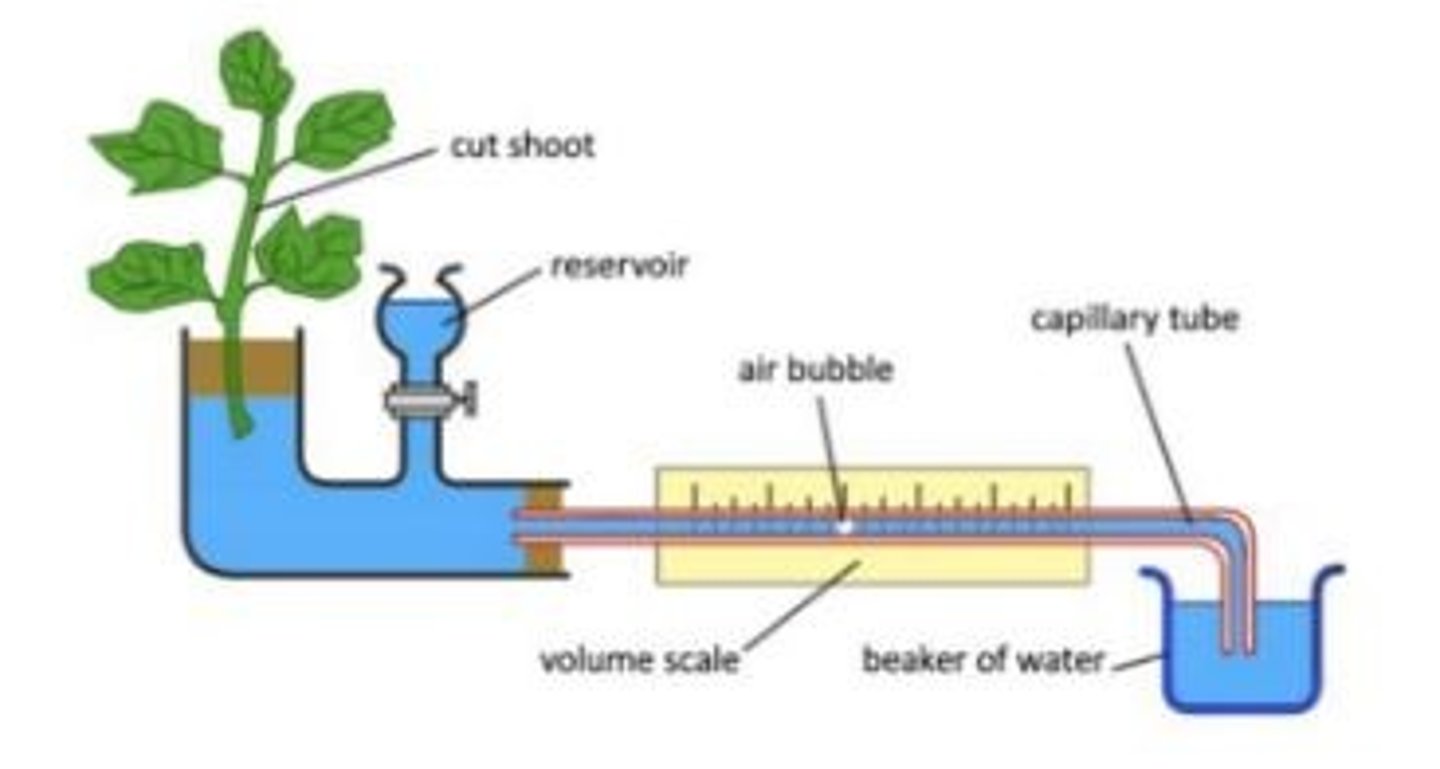 <p>Work by looking at how much water is being taken up by a plant, using a volume scale and an air bubble.</p><p>the air bubble moves towards the plant when it is taking up water (more transpiration)</p>
