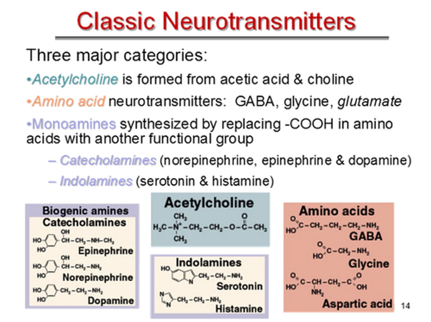 <p>acetylcholine, amino acids, monoamines, neuropeptides</p>