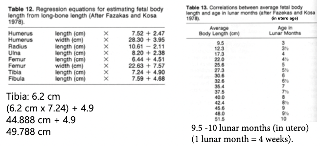 <p>lengths can estimate how long child has been in utero</p><ul><li><p>varies between people because no everyone is the same</p></li></ul>