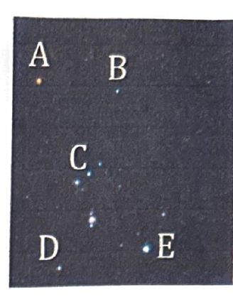 <p>Which constellation is this?</p>