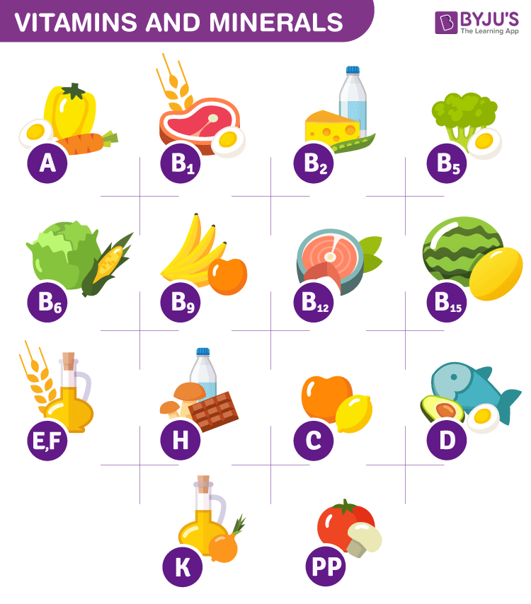 <p>vits and mins: required in small quantities to support health. Water needed to conduct chemical reactions in cells.</p>