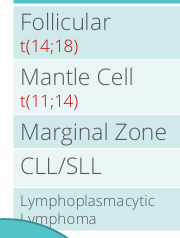 <p>surface markers differentiate B cell lymphomas</p>