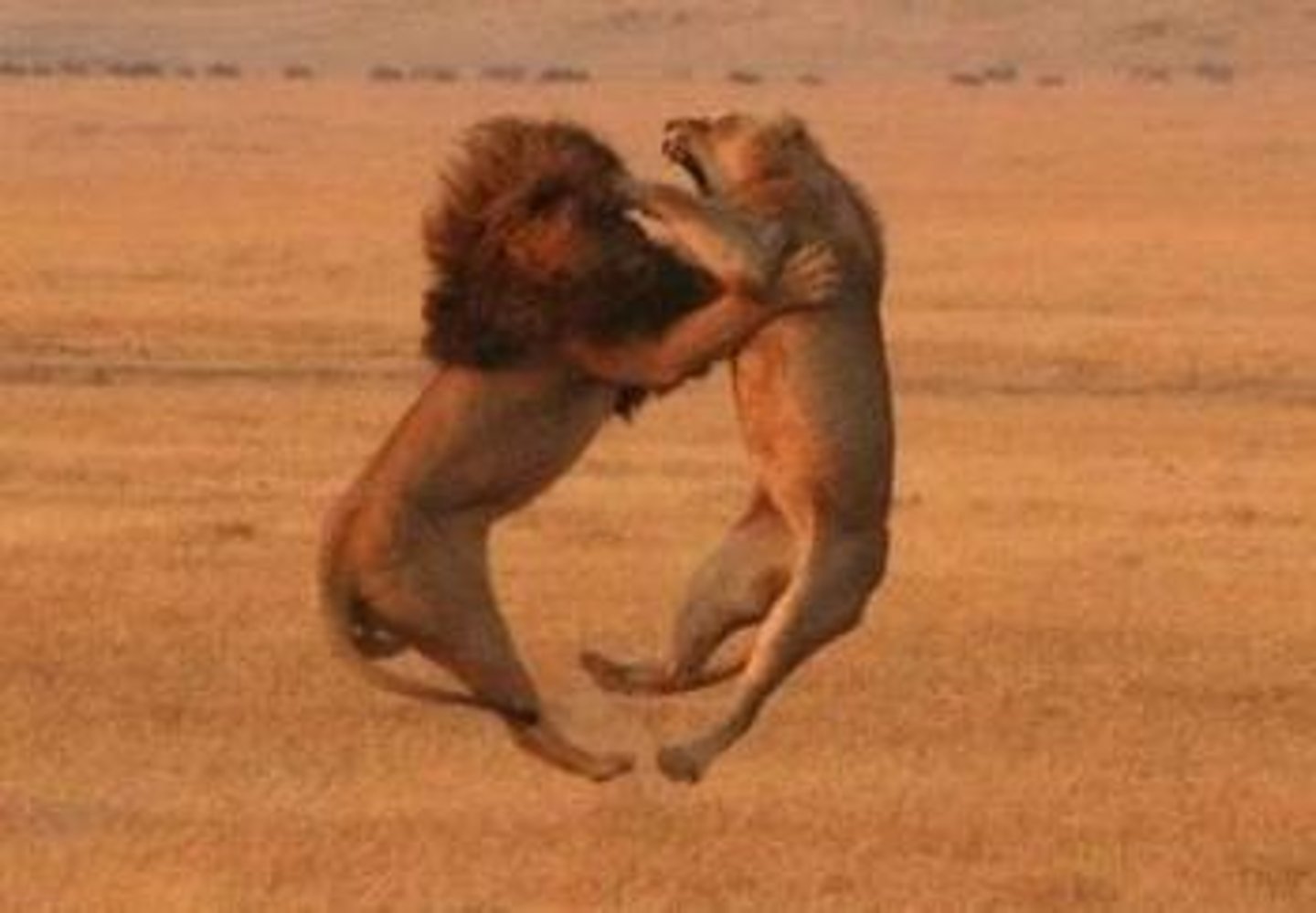 <p>Unconquerable, refusing to yield.</p>