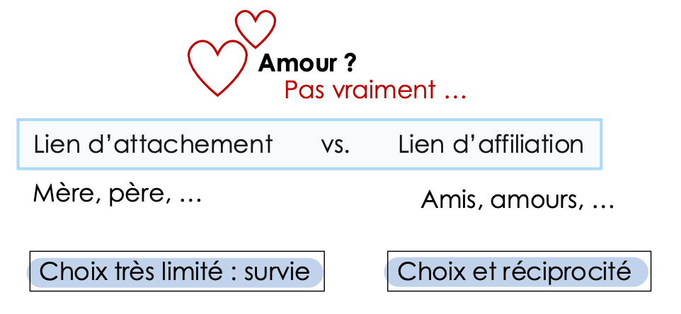 <ul><li><p>relation privilégiée avec une figure externe</p><p>→ recherche de proximité physique et/ou affective</p></li></ul><p></p>
