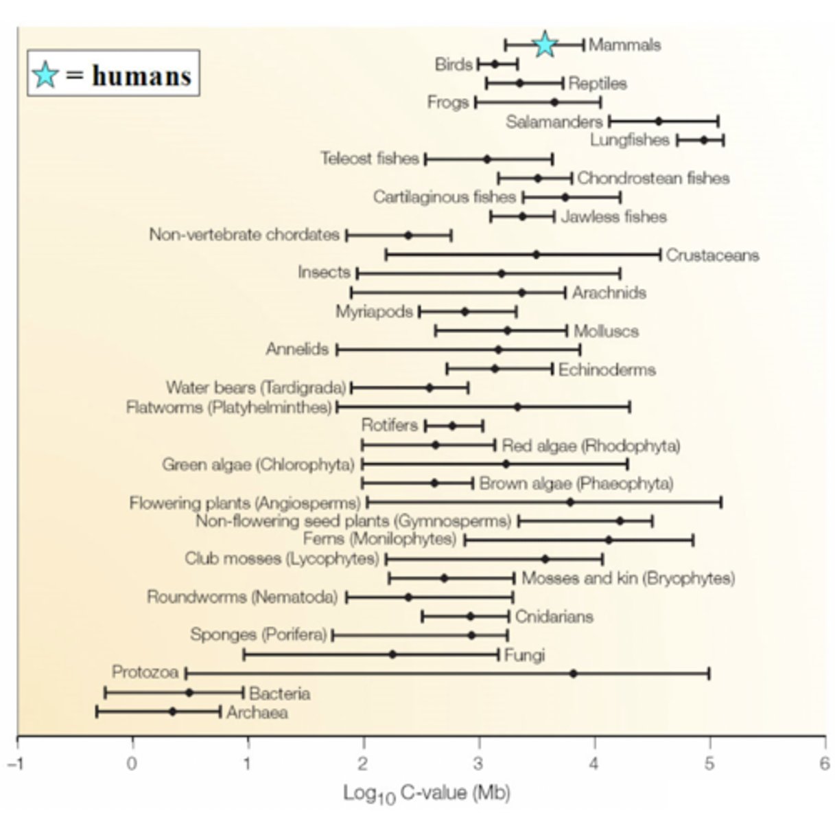 <p>WHY does genome size alone not correlate with complexity?</p>